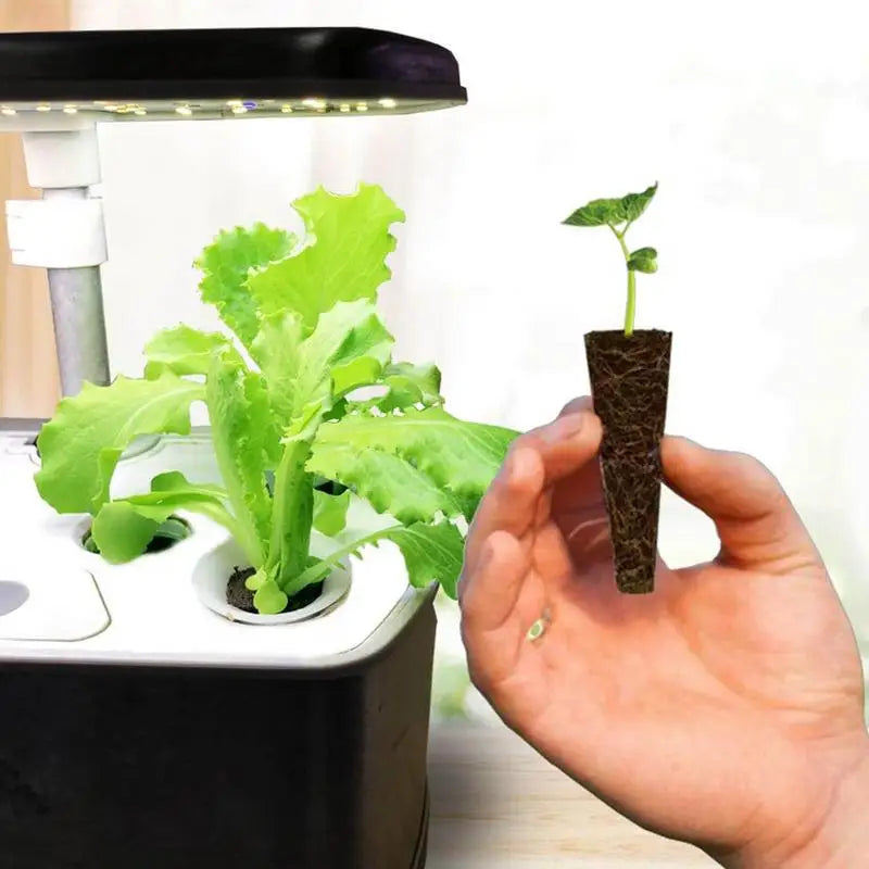 Grow Sponges